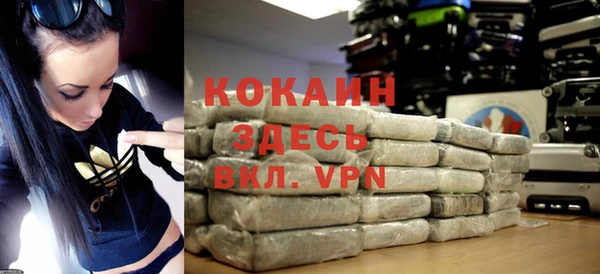 твердый Алзамай