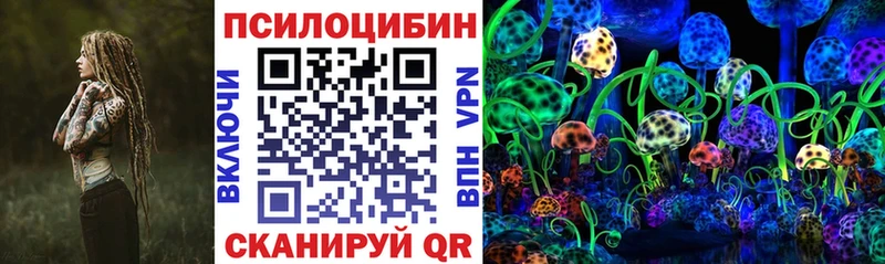 Галлюциногенные грибы Psilocybine cubensis  Полевской 